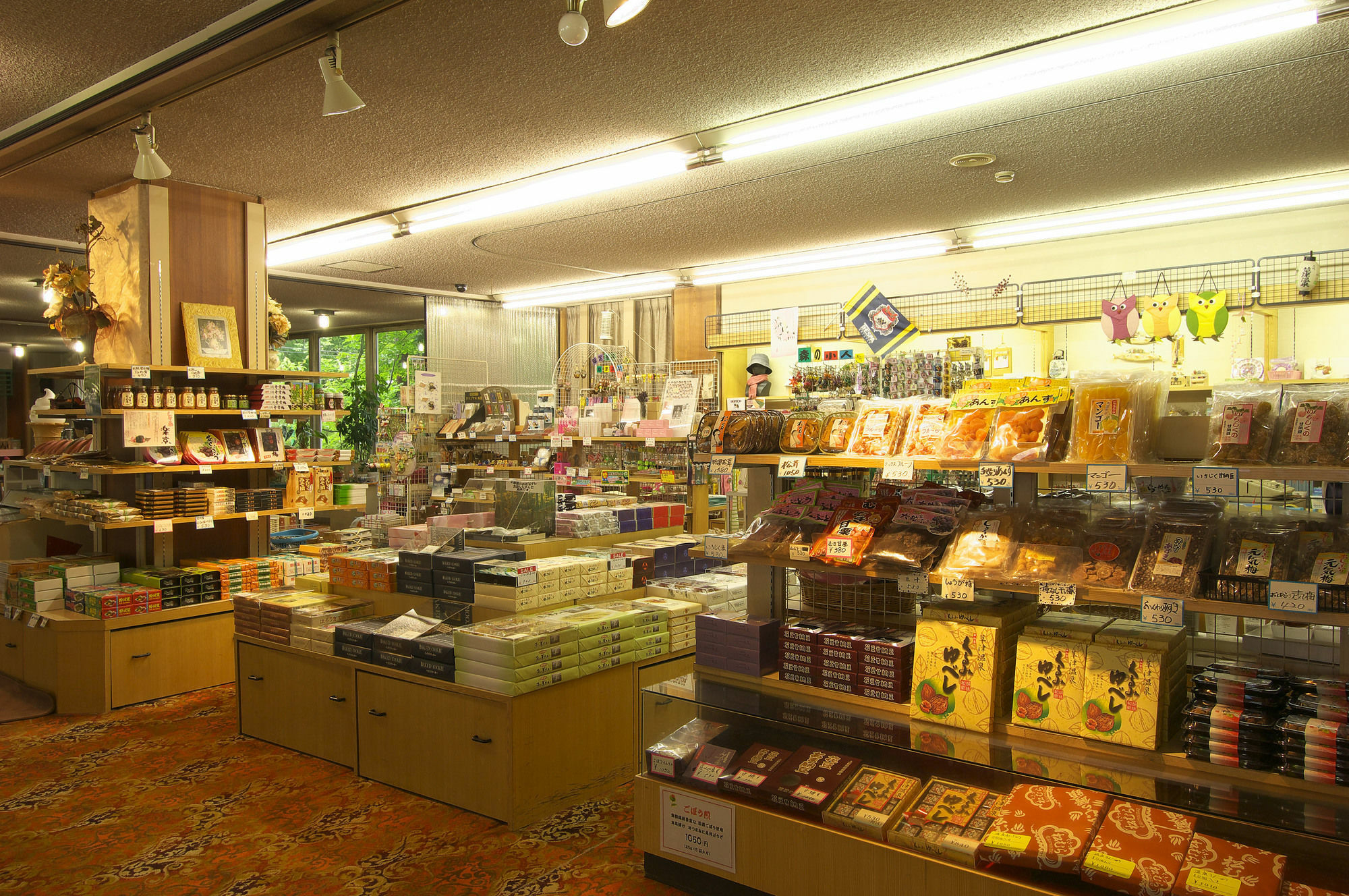 Kusatsu Skyland Hotel Extérieur photo